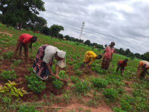 Aid to convent in Chad